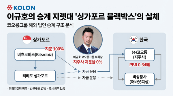 [대기업 리스크 엑스레이] 이규호의 승계 지렛대 '싱가포르 블랙박스'의... - 뉴스 썸네일 이미지