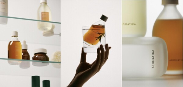 아로마티카, 'K-스칼프 케어'로 글로벌 영토 확장...북미·유럽·중동 정... - 뉴스 썸네일 이미지