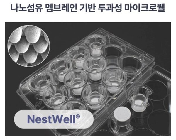 포스텍 스핀오프 '셀로이드', 90억 시리즈A 투자 유치 - 뉴스 썸네일 이미지